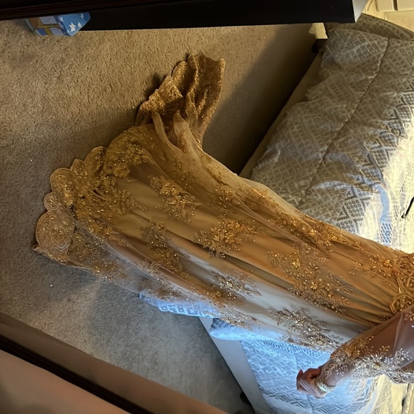 Pakistani Long outfit with a Trail. Size Medium - Picture 5 of 8